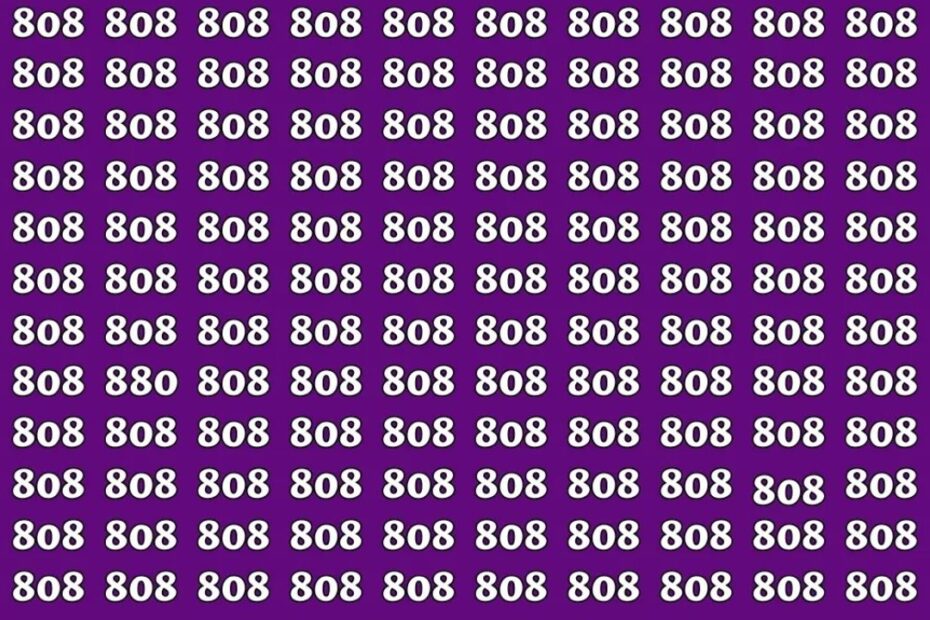 Optical Illusion Challenge Hides A Secret 880 Among 808