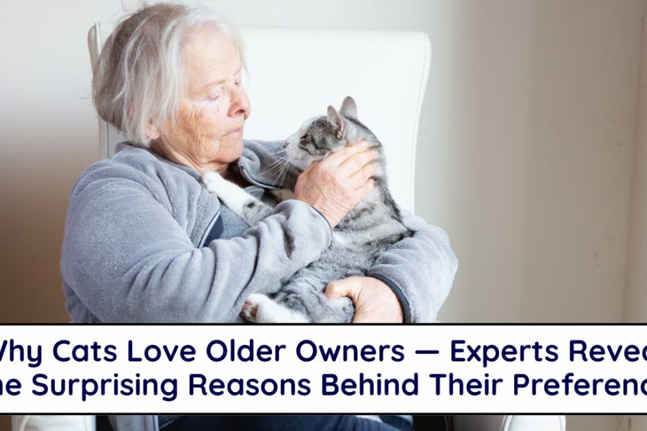 Why Cats Love Older Owners — Experts Reveal the Surprising Reasons Behind Their Preference