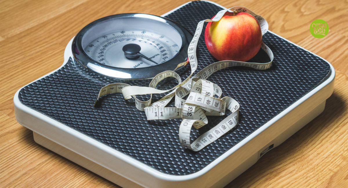 Optimal Diet Strategies for Weight Loss and Weight Loss Maintenance